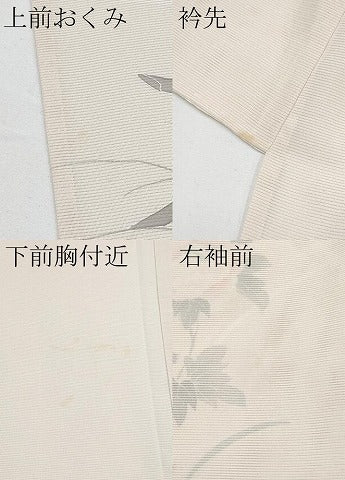 平和屋着物＊夏物 訪問着 絽 刺繍 枝花文 銀彩 正絹 逸品 CABF2456tx