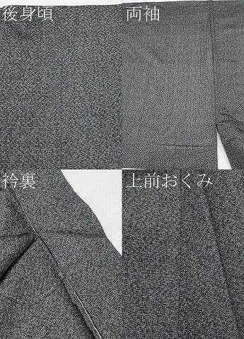 平和屋着物＊夏物 男性 紗紬 霞文 正絹 逸品 CABF2478tx