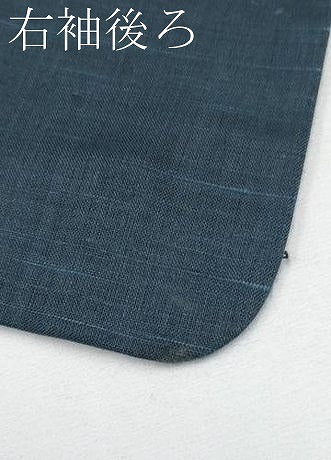 平和屋着物＊夏物 男性 紗紬 褐返色地 正絹 逸品 CABF2480tx