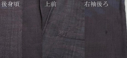 平和屋着物＊夏物　紗紬　枝葉文　黒地　正絹　逸品　CABF2481tx