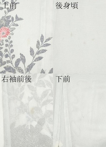 平和屋着物＊夏物 訪問着 絽 枝花文 洗える着物 CABF2483tx