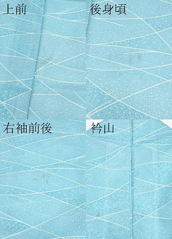 平和屋着物＊夏物 小紋 絽 露芝文 洗える着物 CABF2487tx