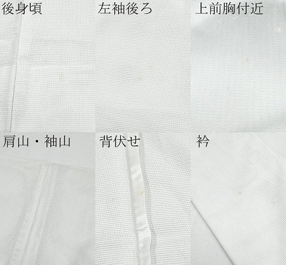 平和屋着物＊夏物 訪問着 絽 箔散らし遠山文 銀彩 洗える着物 CABF2497tx