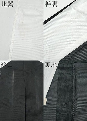 平和屋着物＊夏物 黒留袖 絽 御所車鴛鴦草花文 暈し染め 金彩 洗える着物 CABF2505tx