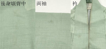 平和屋着物＊夏物 色無地 紗 裏葉柳色 洗える着物 CABF2506tx