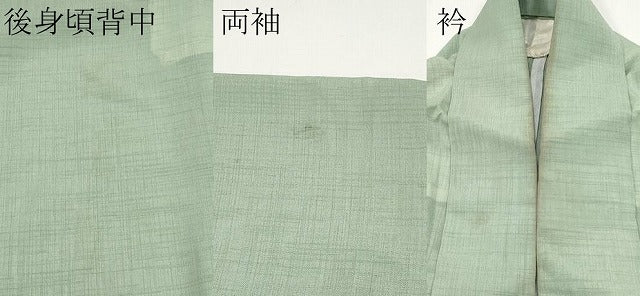平和屋着物＊夏物 色無地 紗 裏葉柳色 洗える着物 CABF2506tx