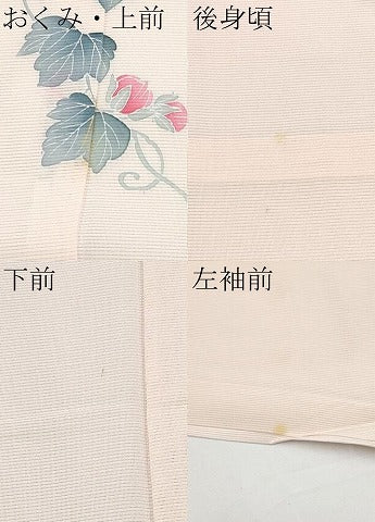 平和屋着物＊夏物 訪問着 絽 蔦の葉花文 暈し染め 正絹 逸品 CABF2512tx