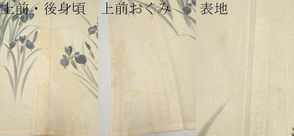 平和屋着物＊夏物 訪問着 紗紬 作家物 手描き 杜若 正絹 逸品 CABF2521tx