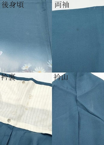 平和屋着物＊夏物 訪問着 絽 草花文 暈し染め 正絹 逸品 CABF2526tx