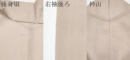 平和屋着物＊夏物 訪問着 絽 童子遊び 正絹 逸品 CABF2527tx