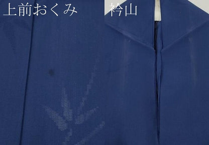平和屋着物＊夏物 色無地 絽縮緬 笹竹紋紗 紺青色 正絹 逸品 CABF2536tx
