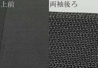 平和屋着物＊夏物 本塩沢 夏塩沢 110亀甲 菱繋 黒地 三越扱い 正絹 逸品 CABF2611tx