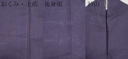 平和屋着物＊夏物 小紋 紗 草木文 深紫色地 洗える着物 CABF2625tx