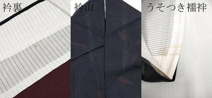 平和屋着物＊夏物 小紋 紗 枝葉文 黒地 正絹 逸品 CABF2628tx