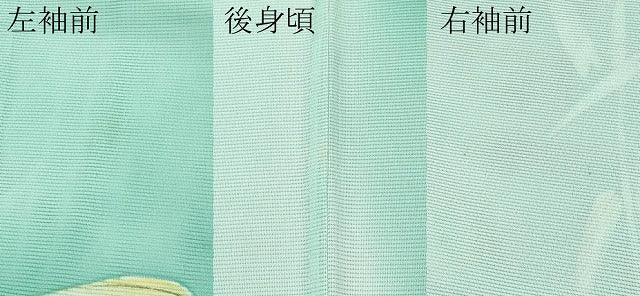 平和屋着物＊夏物 訪問着 絽 手描き 笹竹文 暈し染め 洗える着物 CABF2640tx