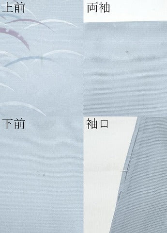 平和屋着物＊夏物 訪問着 絽 雪芝文 暈し染め 洗える着物 CABF2649tx