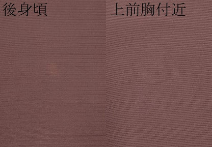 平和屋着物＊夏物 色無地 絽 紅檜皮色 正絹 逸品 CABF2659tx