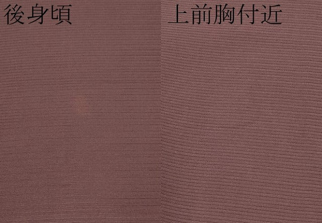 平和屋着物＊夏物 色無地 絽 紅檜皮色 正絹 逸品 CABF2659tx