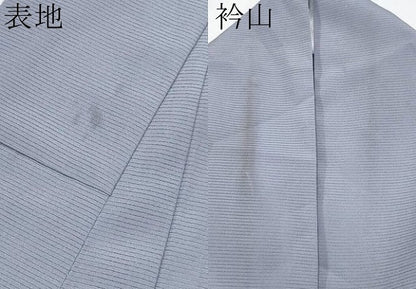 平和屋着物＊夏物 人間国宝・羽田登喜男監修 色無地 絽 薄色 洗える着物 CABF2670tx