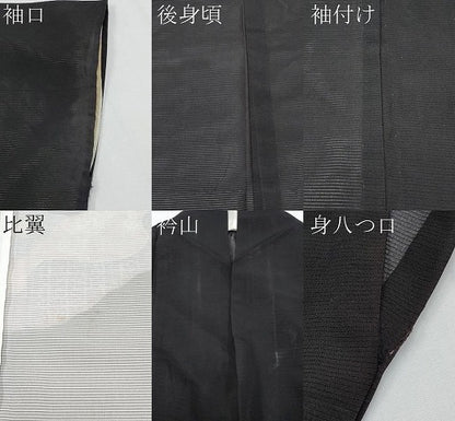 平和屋着物＊夏物　黒留袖　絽　飛鶴花唐草文　金彩　洗える着物　CABF2682tx