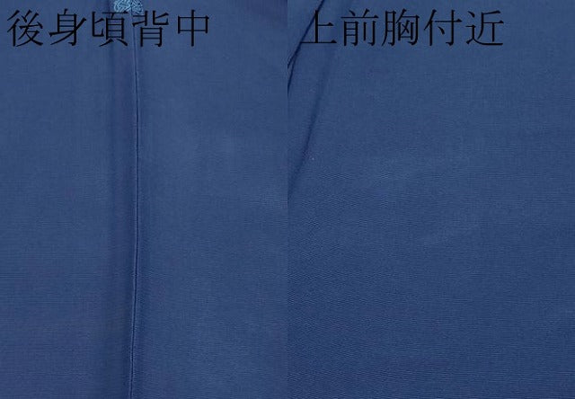 平和屋着物＊夏物 色無地 紗 青藍色 正絹 逸品 CABF2691tx