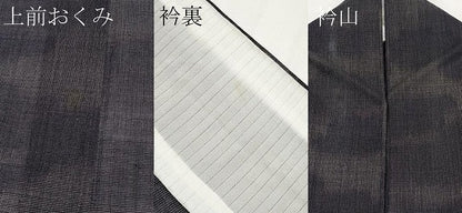 平和屋着物＊夏物　小紋　紗　雲取り文　交織　CABF2694tx