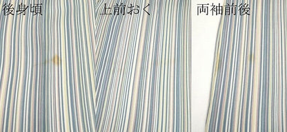 平和屋着物＊夏物　小紋　紗　縞　洗える着物　CABF2695tx