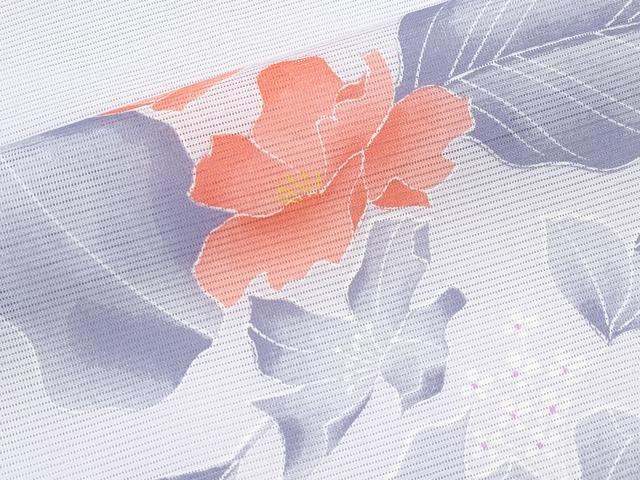 平和屋着物＊夏物　小紋　絽　枝花文　洗える着物　CABF2696tx