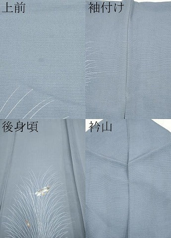 平和屋着物＊夏物 訪問着 絽 蛍 銀彩 正絹 逸品 CABF2698tx