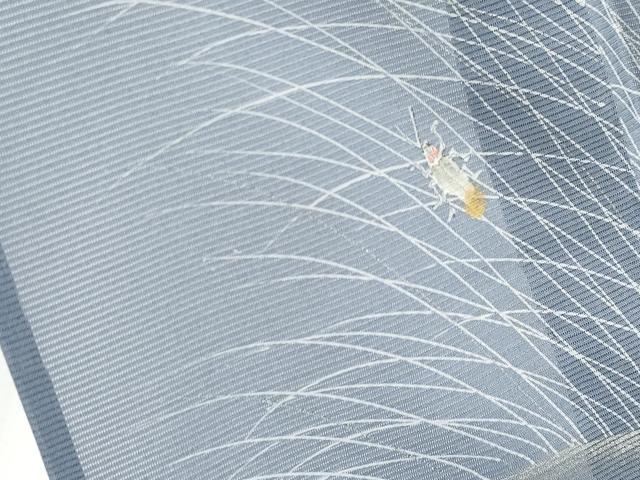 平和屋着物＊夏物 訪問着 絽 蛍 銀彩 正絹 逸品 CABF2698tx