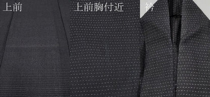 平和屋着物＊夏物 男性 お召 横段文 正絹 逸品 CABF2700tx