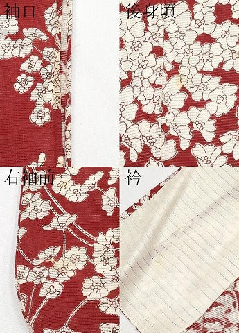 平和屋着物＊夏物 訪問着 絽 枝花文 伊と幸 反端付き 正絹 逸品 CABF2705tx