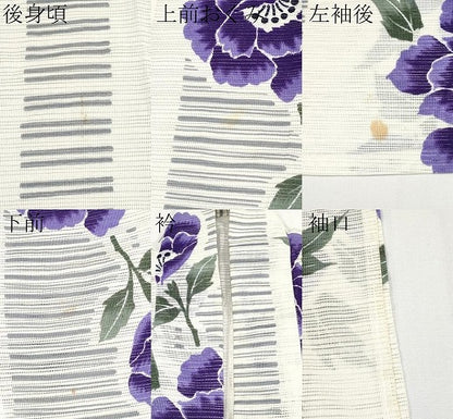 平和屋着物∴夏物 浴衣 綿絽 牡丹 綿 逸品 CABF2721tx
