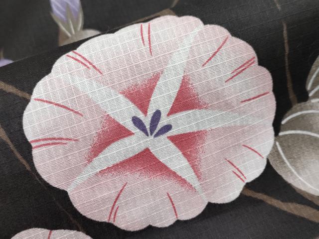 平和屋着物∴夏物 浴衣 綿紅梅 朝顔 黒地 綿 逸品 CABF2734tx