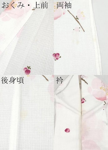 平和屋着物∴夏物　浴衣　綿紅梅　枝梅文　日本製　綿　逸品　CABF2735tx