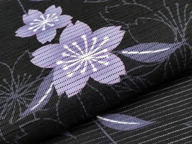 平和屋着物∴夏物　浴衣　綿絽　枝桜文　黒地　綿　逸品　CABF2752tx