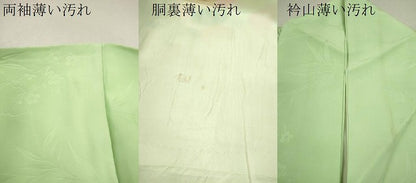 平和屋着物■訪問着　手描き　枝花文　暈し染め　正絹　逸品　CABF2938ze
