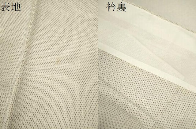 平和屋着物▽本塩沢　単衣　蚊絣　正絹　逸品　CABF2971ze