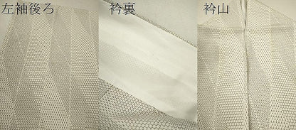 平和屋着物▽本塩沢　単衣　110亀甲　斜線亀甲文　正絹　逸品　CABF3016ze