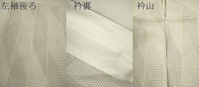 平和屋着物▽本塩沢　単衣　110亀甲　斜線亀甲文　正絹　逸品　CABF3016ze