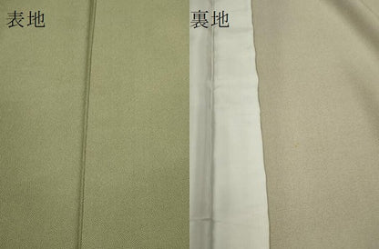 平和屋着物▽江戸小紋　単衣　鮫小紋柄　まるやま扱い　正絹　逸品　CABF3129ze