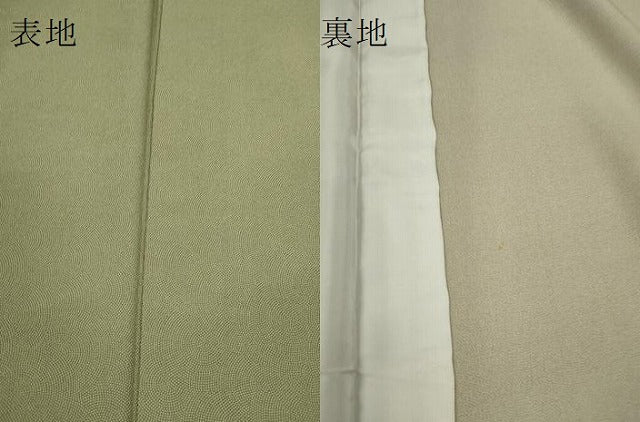 平和屋着物▽江戸小紋　単衣　鮫小紋柄　まるやま扱い　正絹　逸品　CABF3129ze