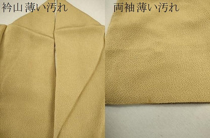 平和屋着物■訪問着 吉祥花文 暈し染め 金彩 鬼しぼ縮緬 正絹 逸品 CABF3178ze