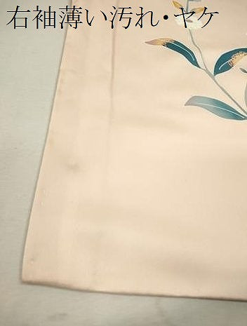 平和屋着物■訪問着 友禅 枝花文 正絹 逸品 CABF3188ze