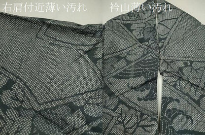 平和屋着物■上質な紬　地紙重ね立波草花文　正絹　逸品　CABF3194ze