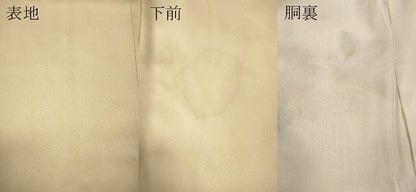 平和屋着物▼中国三大刺繍　相良刺繍　総刺繍　訪問着　駒刺繍　乱菊　舞花文　正絹　逸品　CABF3207ut
