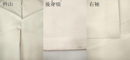 平和屋着物●訪問着　友禅　休み鳥枝葉文　正絹　逸品　CABF3215ut