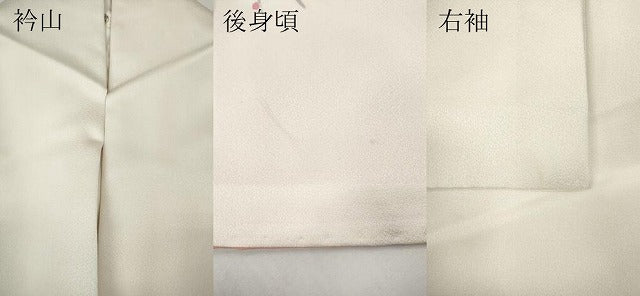 平和屋着物●訪問着　友禅　休み鳥枝葉文　正絹　逸品　CABF3215ut