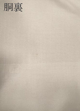 平和屋着物●訪問着　紬地　めがね織　横段吉祥文　正絹　逸品　CABF3243ut