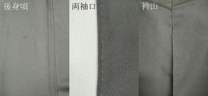 平和屋着物●豪華色留袖　作家物　手描き　舞花文　銀通し地　正絹　逸品　CABF3301ut